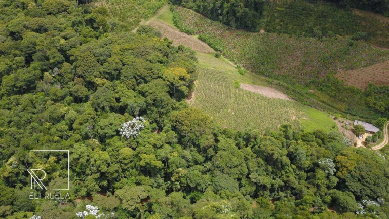 Imagem Chácara com 3 Quartos à Venda, 30.000 m² em Boa Esperança - Marechal Floriano