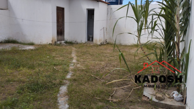 Imagem Casa com 4 Quartos à Venda, 200 m² em Parque Ipê - Feira De Santana