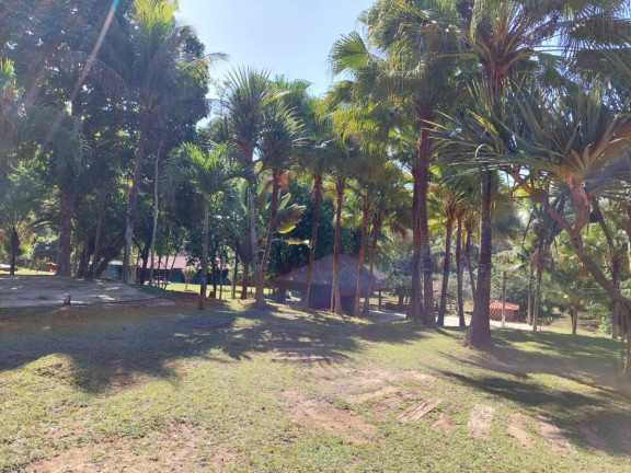 Imagem Chácara com 8 Quartos à Venda, 800 m² em Maraporã - Cachoeiras De Macacu Imagem Chácara com 8 Quartos à Venda, 800 m² em Maraporã - Cachoeiras De Macacu