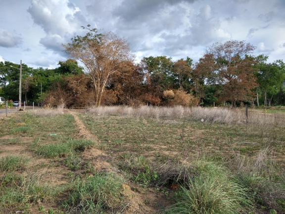 Imóvel à Venda, 3.000 m² em Zona Rural - Barreiras
