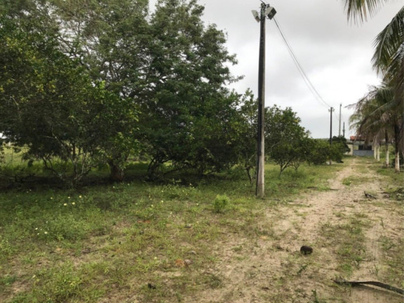 Imagem Fazenda à Venda, 29.077 m² em área Rural De Alagoinhas - Alagoinhas Imagem Fazenda à Venda, 29.077 m² em área Rural De Alagoinhas - Alagoinhas