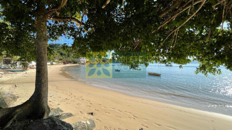 Imagem Terreno à Venda, 2.722 m² em Araça - Porto Belo Imagem Terreno à Venda, 2.722 m² em Araça - Porto Belo