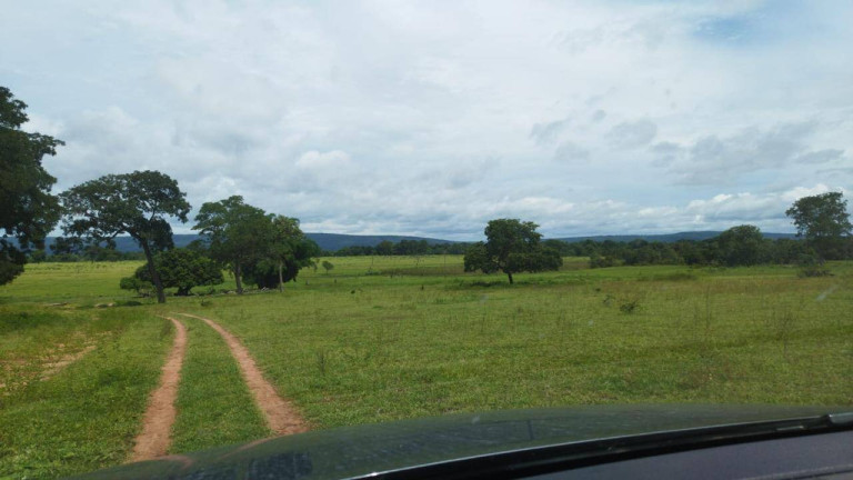 Imagem Fazenda à Venda,  em Rondonópolis