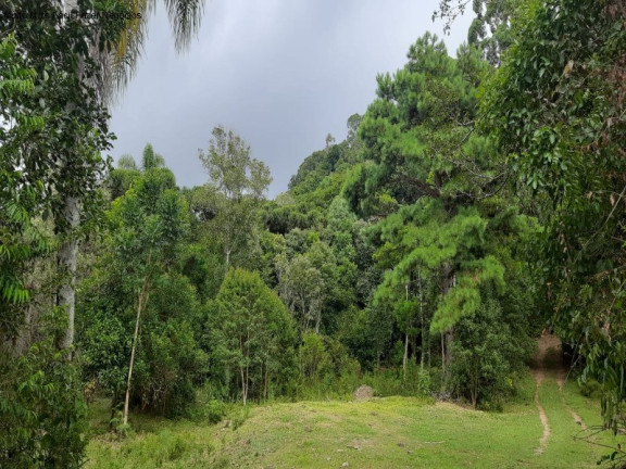 Imagem Terreno à Venda, 1 m² em Fazenda Pirajá - Nova Petrópolis Imagem Terreno à Venda, 1 m² em Fazenda Pirajá - Nova Petrópolis