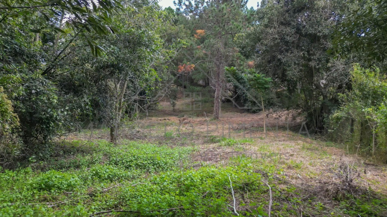 Imagem Terreno à Venda, 21.000 m² em Chácaras Alpina - Valinhos