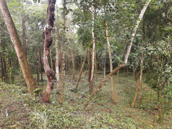 Imagem Terreno à Venda, 2 m² em Maracanã - Jarinu Imagem Terreno à Venda, 2 m² em Maracanã - Jarinu