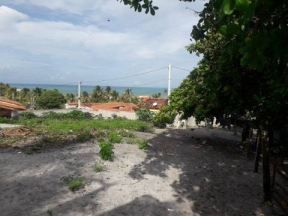 Imagem Terreno à Venda, 1.000 m² em Tibau Do Sul Imagem Terreno à Venda, 1.000 m² em Tibau Do Sul