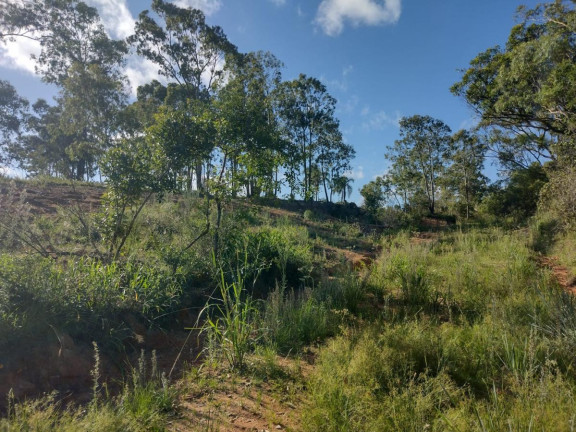 Imagem Terreno à Venda, 20.000 m² em Alto Perequê - Arroio Do Padre Imagem Terreno à Venda, 20.000 m² em Alto Perequê - Arroio Do Padre