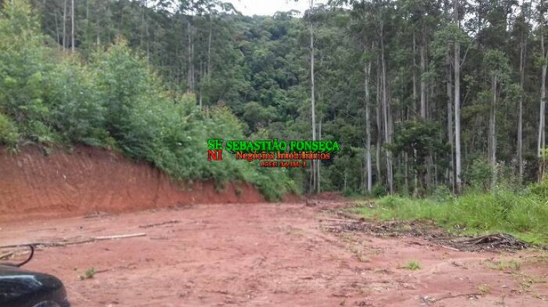 Imagem Chácara à Venda, 30.000 m² em Centro - Monteiro Lobato Imagem Chácara à Venda, 30.000 m² em Centro - Monteiro Lobato