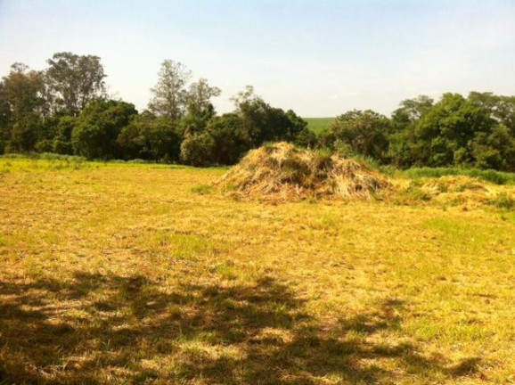 Terreno à Venda, 20.000 m² em Taquaral - Piracicaba