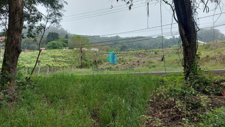 Imagem Terreno à Venda, 10.159 m² em Vale Dos Vinhedos - Bento Gonçalves Imagem Terreno à Venda, 10.159 m² em Vale Dos Vinhedos - Bento Gonçalves