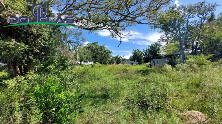 Imagem Chácara à Venda, em Viamão Imagem Chácara à Venda, em Viamão