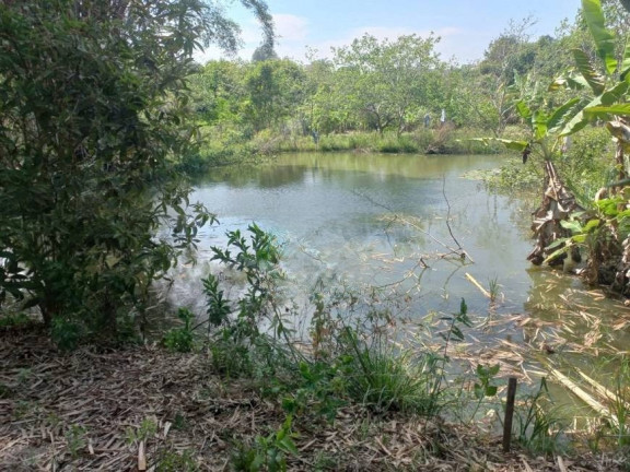 Imagem Imóvel com 5 Quartos à Venda, 6.000 m² em Bonanza - Santa Luzia