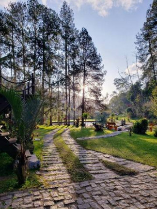 Imagem Chácara com 5 Quartos à Venda, 20 m² em Jardim Ouro Preto - Nova Friburgo