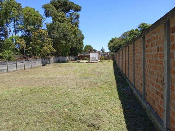 Imagem Terreno à Venda, em Vila Ipanema - Piraquara Imagem Terreno à Venda, em Vila Ipanema - Piraquara