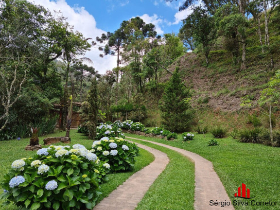 Imagem Casa com 5 Quartos à Venda, 20.480 m² em Sertãozinho - Santo Antônio Do Pinhal Imagem Casa com 5 Quartos à Venda, 20.480 m² em Sertãozinho - Santo Antônio Do Pinhal