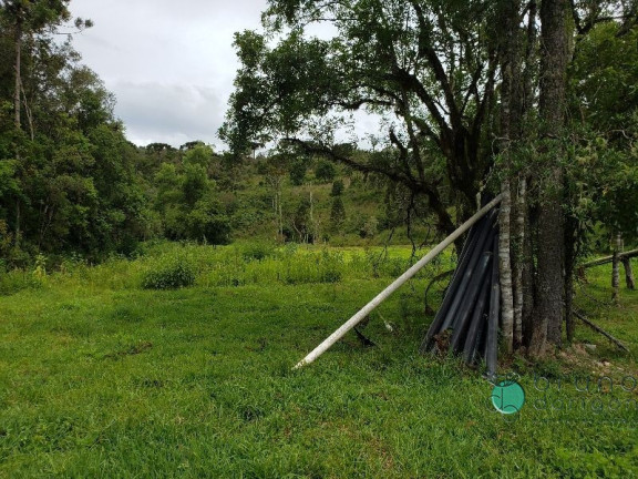 Imagem Imóvel com 3 Quartos à Venda, 350.000 m² em Zona Rural - Bom Retiro