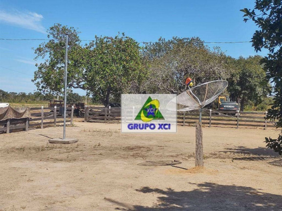 Imagem Fazenda à Venda, 135.000.000 m² em Centro - Ribeirão Cascalheira