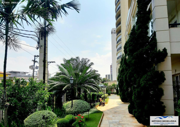 Imagem Apartamento com 3 Quartos à Venda, 97 m² em Chacara Santo Antonio - São Paulo