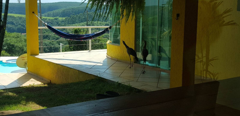 Imagem Chácara à Venda, 12 m² em Fazendinha - Piedade Imagem Chácara à Venda, 12 m² em Fazendinha - Piedade