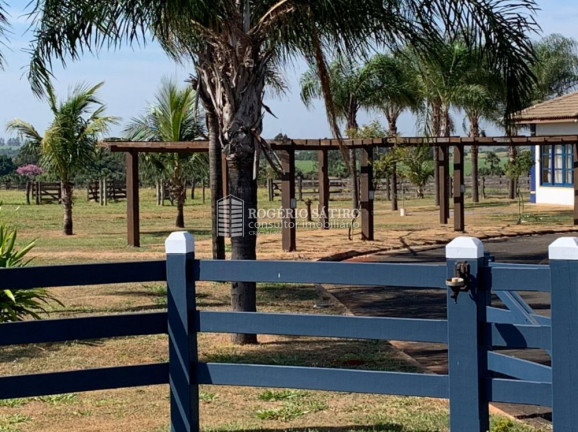Imagem Imóvel com 3 Quartos à Venda, 195.500.000 m² em Centro - Uberaba