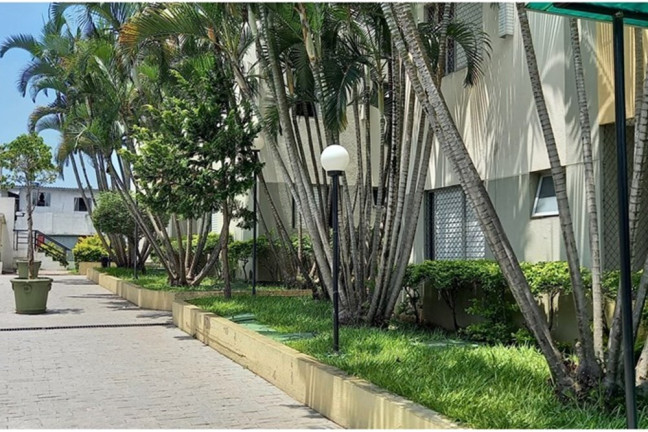 Imagem Apartamento com 2 Quartos à Venda, 48 m² em Vila Carmosina - São Paulo Imagem Apartamento com 2 Quartos à Venda, 48 m² em Vila Carmosina - São Paulo