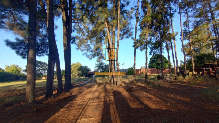 Imagem Terreno à Venda, 10.000 m² em Pinheirinho - Itu Imagem Terreno à Venda, 10.000 m² em Pinheirinho - Itu