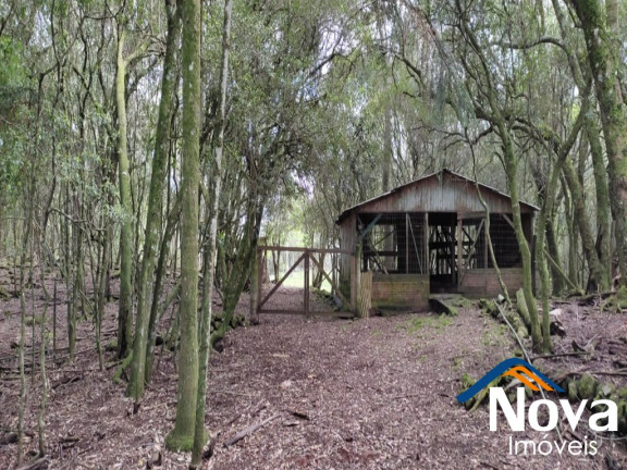 Imagem Imóvel à Venda,  em Linha Imperial - Nova Petrópolis