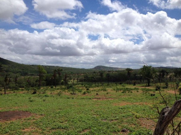 Fazenda à Venda, 200 m² em Br 116 - Euclides Da Cunha