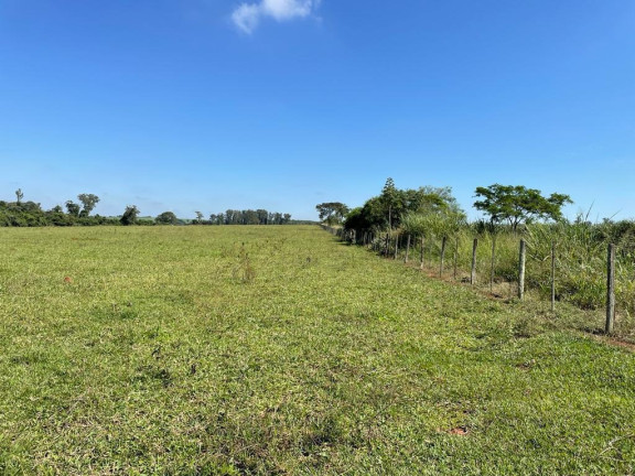 Imagem Imóvel à Venda, 25 m² em área Rural De São José Do Rio Preto - São José Do Rio Preto Imagem Imóvel à Venda, 25 m² em área Rural De São José Do Rio Preto - São José Do Rio Preto