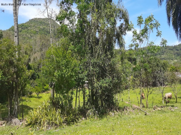 Imagem Terreno à Venda, 8 m² em Linha Temerária - Nova Petrópolis Imagem Terreno à Venda, 8 m² em Linha Temerária - Nova Petrópolis
