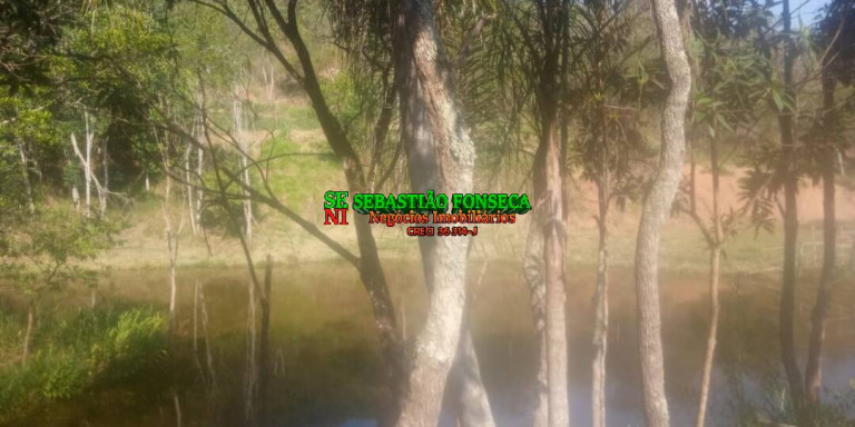 Imagem Chácara com 2 Quartos à Venda, 21.000 m² em Centro - Caçapava