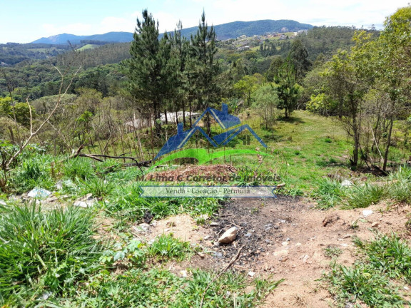 Imagem Galpão à Venda, 3.000 m² em Jardim Gibeon - Mairiporã