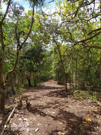 Imagem Terreno à Venda, 5.226 m² em Aldeia - Camaragibe Imagem Terreno à Venda, 5.226 m² em Aldeia - Camaragibe