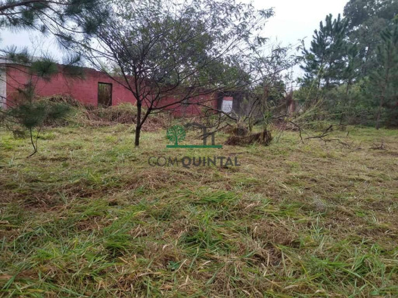Imagem Imóvel Comercial à Venda, 10 m² em Jardim Guerreiro - Cotia Imagem Imóvel Comercial à Venda, 10 m² em Jardim Guerreiro - Cotia