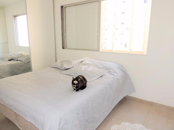 Imagem Apartamento com 1 Quarto à Venda, 77 m² em Centro - Campinas Imagem Apartamento com 1 Quarto à Venda, 77 m² em Centro - Campinas