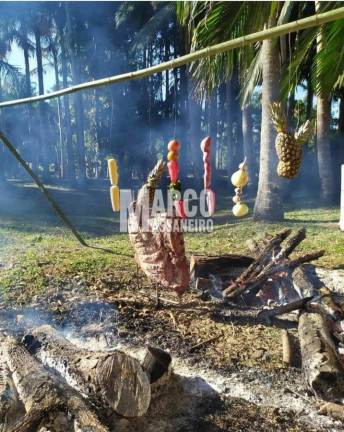 Imagem Chácara à Venda, 5 m² em Pinheiros - Balneário Barra Do Sul Imagem Chácara à Venda, 5 m² em Pinheiros - Balneário Barra Do Sul