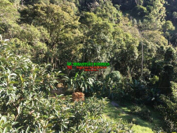 Imagem Chácara à Venda, 72 m² em São Francisco Xavier - São José Dos Campos Imagem Chácara à Venda, 72 m² em São Francisco Xavier - São José Dos Campos