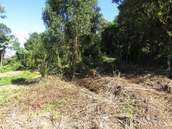 Imagem Terreno à Venda, 36.260 m² em Colonia Murici - São José Dos Pinhais Imagem Terreno à Venda, 36.260 m² em Colonia Murici - São José Dos Pinhais