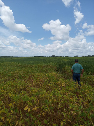 Imagem Imóvel à Venda,  em Colinas Do Tocantins/to - Colinas Do Tocantins