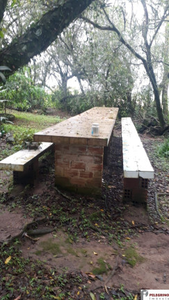 Imagem Imóvel com 2 Quartos à Venda, 95 m² em Zona Rural - Sentinela Do Sul Imagem Imóvel com 2 Quartos à Venda, 95 m² em Zona Rural - Sentinela Do Sul