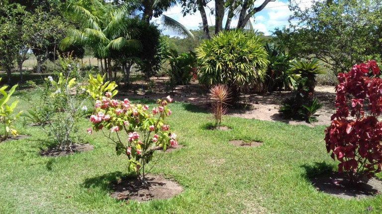 Imóvel com 4 Quartos à Venda, 30.500 m² em Cachoeira - Salvador