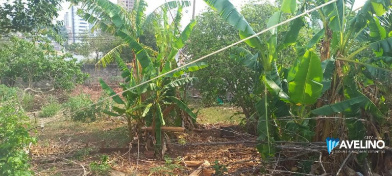 Imagem Terreno à Venda, 1.320 m² em Monte Castelo - Campo Grande Imagem Terreno à Venda, 1.320 m² em Monte Castelo - Campo Grande