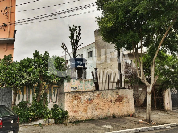 Imagem Terreno à Venda, 479 m² em Vila Maria Alta - São Paulo Imagem Terreno à Venda, 479 m² em Vila Maria Alta - São Paulo