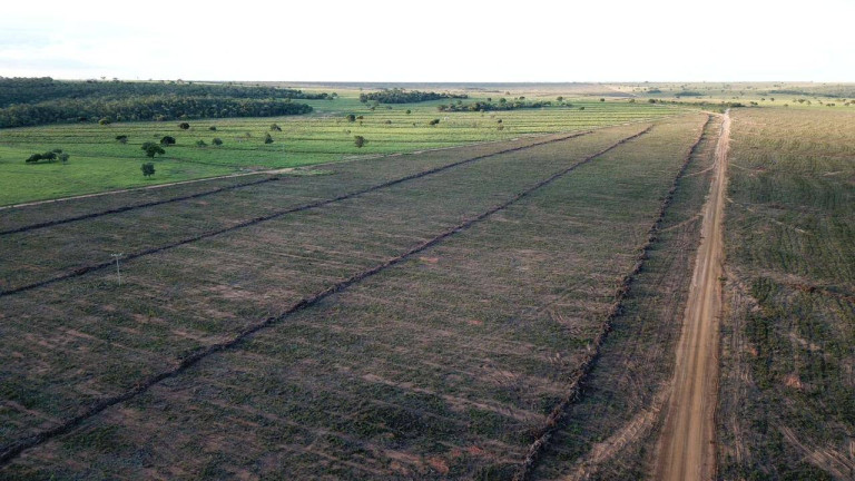 Imagem Fazenda à Venda, 1 m² em Mateiros Imagem Fazenda à Venda, 1 m² em Mateiros