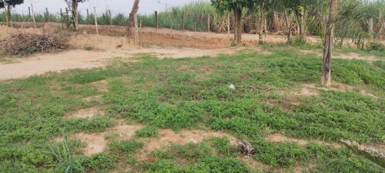 Imagem Chácara à Venda, 1.800 m² em Canguera - Capela Do Alto Imagem Chácara à Venda, 1.800 m² em Canguera - Capela Do Alto