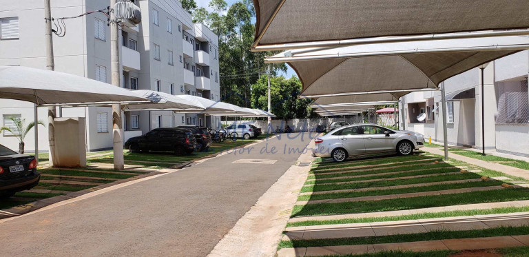 Imagem Apartamento com 2 Quartos à Venda, 50 m² em Residencial Eldorado - Pirassununga Imagem Apartamento com 2 Quartos à Venda, 50 m² em Residencial Eldorado - Pirassununga
