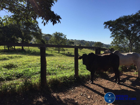 Imagem Fazenda à Venda, 125 m² em Zona Rural - Cocalzinho De Goiás Imagem Fazenda à Venda, 125 m² em Zona Rural - Cocalzinho De Goiás
