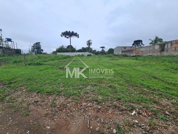 Terreno à Venda,  em Vila Juliana - Piraquara