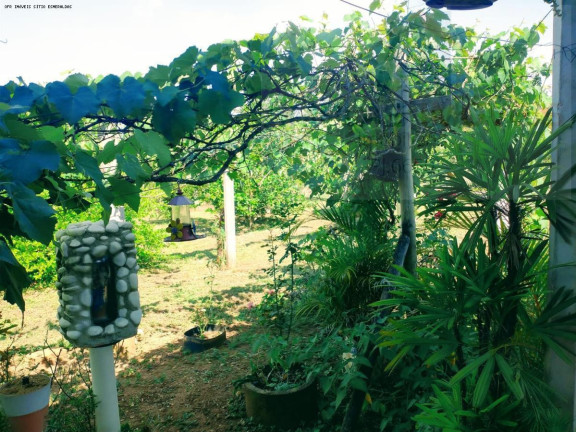 Imagem Fazenda à Venda, 4.326 m² em Azurita - Mateus Leme Imagem Fazenda à Venda, 4.326 m² em Azurita - Mateus Leme